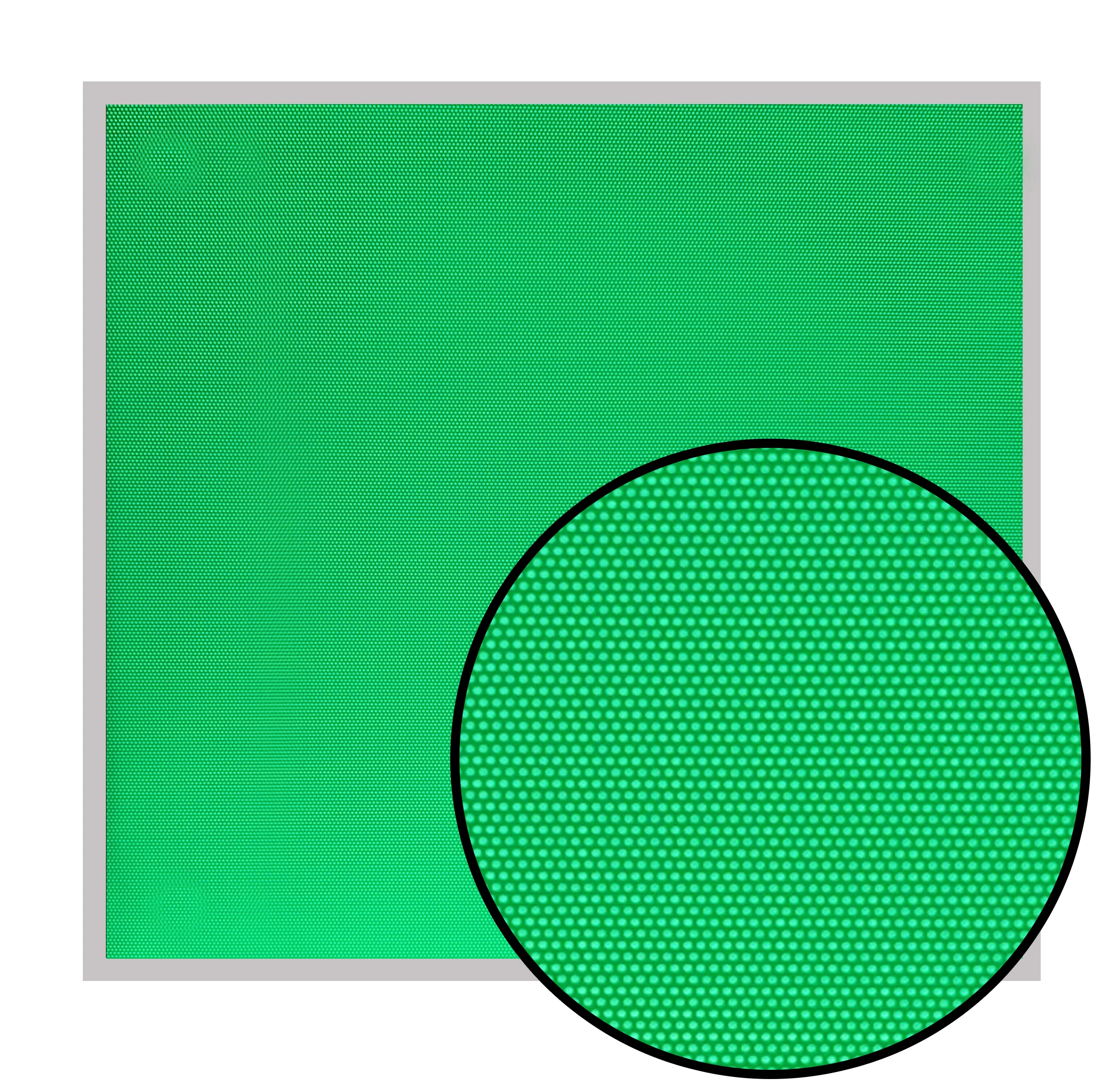 SAMPLE-GREEN-MAGNIFY