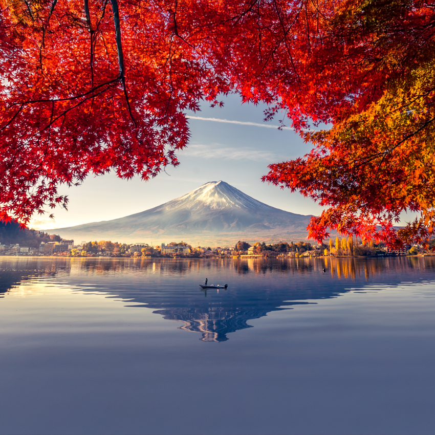 Immersive Backlit Wall Art